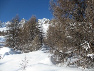 Chalet Embrun Environnement 35