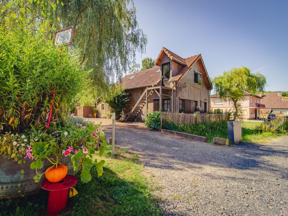 Ferienhaus Abreschviller Außenaufnahme 3