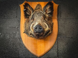 Casa per le vacanze Abreschviller  38