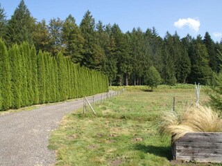 Ferienhaus Abreschviller Umgebung 32