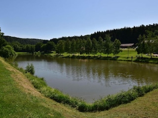 Vakantiehuis Abreschviller Omgeving 34