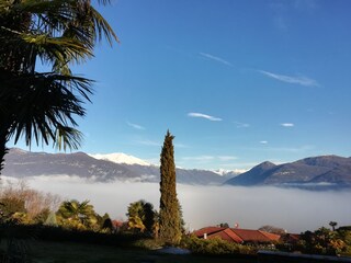 Seltene Stimmung, Morgennebel auf dem See