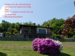 Ferienhaus Villa Tusculum Germignaga