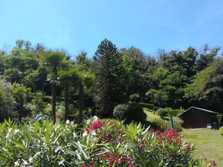 Holiday house Germignaga Outdoor Recording 12