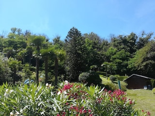 Holiday house Germignaga Outdoor Recording 13