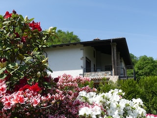 Casa per le vacanze Germignaga Registrazione all'aperto 3