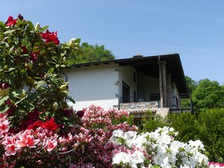 Vakantiehuis Germignaga Buitenaudio-opname 6