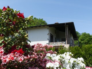 Villa Tusculum im Mai