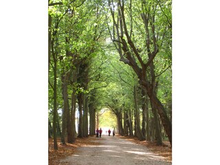 Vakantiehuis Zoutelande Omgeving 13