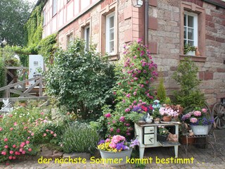 Holiday apartment Neunkirchen in Unterfranken Document 27