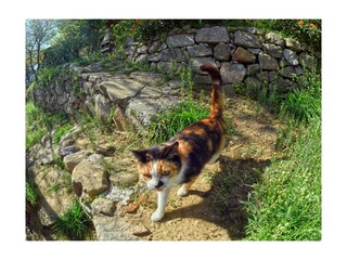 Appartamento per vacanze Rodì Milici Ambiente 20