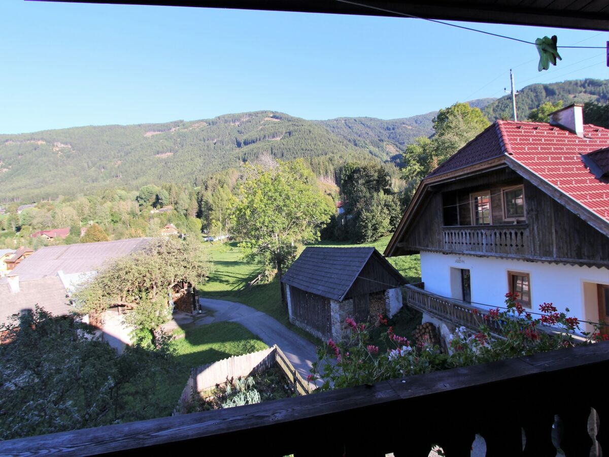 Bauernhof Gmünd in Kärnten Außenaufnahme 6