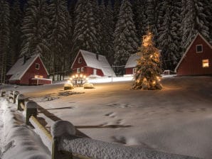 Ferienhaus Erzgebirgsidyll in Breitenbrunn - Breitenbrunn im Erzgebirge - image1