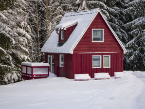 Ferienhaus Erzgebirgsidyll in Breitenbrunn - Breitenbrunn im Erzgebirge - image1