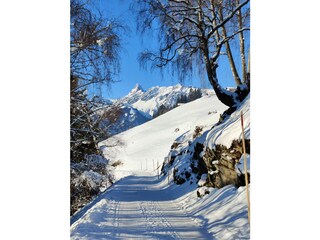 Casa de vacaciones Schruns Entorno 31