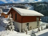 Backside view of the house with the Rinerhorn