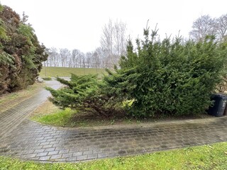 Ferienwohnung Zingst Außenaufnahme 6