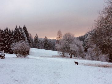 Ferienhaus Harzhaus Auszeit