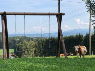Appartamento per vacanze Buchenberg Ambiente 6