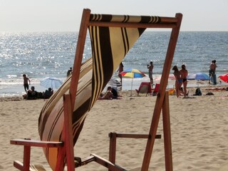 Vakantiehuis Dishoek Omgeving 19