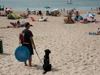 Casa per le vacanze Dishoek Ambiente 21
