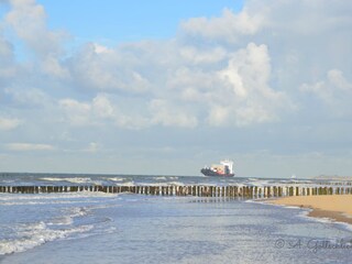 Vakantiehuis Dishoek Omgeving 22