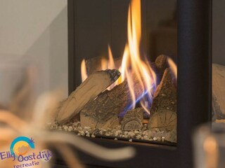 Vakantieappartement Dishoek Kenmerken 6