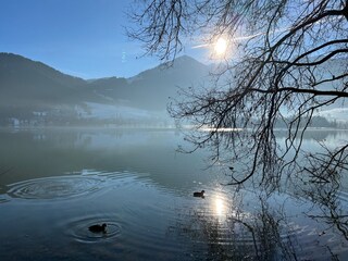 Apartment Walchsee Environment 17