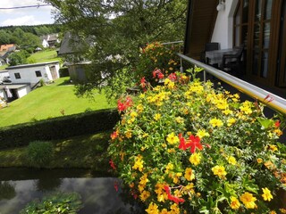 Appartement Kirchhundem Buitenaudio-opname 2