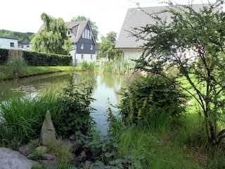 Apartment Kirchhundem Environment 36