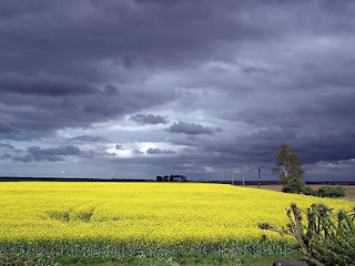 Blick aus der FW, vor dem Gewitter