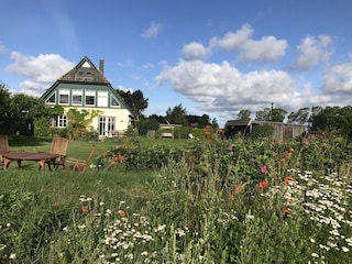 Garten und Haus mit Frühstücksterrasse