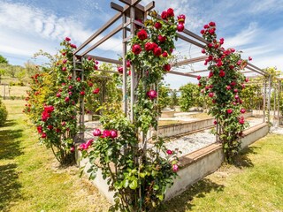 Villa Montalto delle Marche Registrazione all'aperto 7