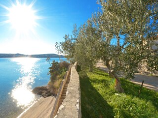 Appartamento per vacanze Seget Donji Ambiente 18