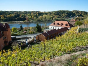 Ferienwohnung Weißburgunder - Meißen - image1