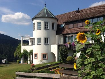 Holiday apartment "TurmSpitz" in House Linde Schönegründ