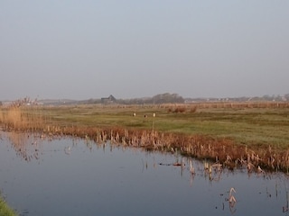 Appartamento Callantsoog Ambiente 21