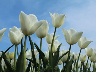 Appartamento Callantsoog Ambiente 23