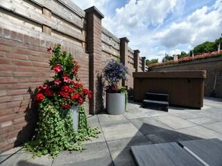 Ferienhaus Walem  36