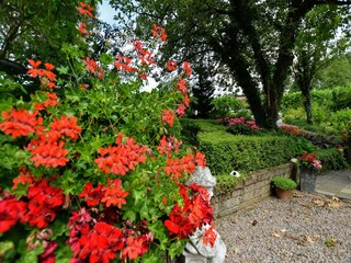 Ferienhaus Walem Außenaufnahme 1