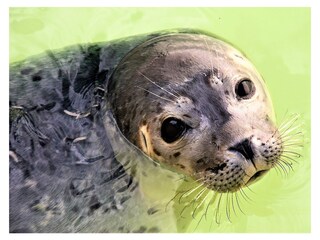 Casa per le vacanze De Koog Ambiente 34