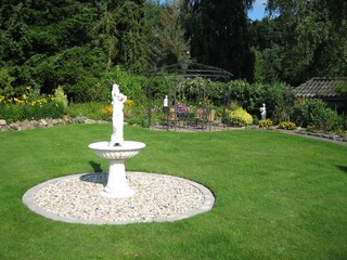 Blick in den Garten