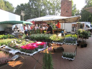 Wochenmarkt Walsrode