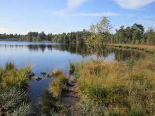 Grundloser See bei Walsrode