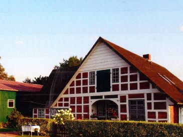 Ferienhaus hinterm Deich in Balje