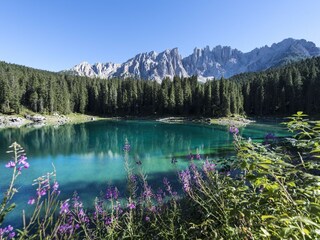 Appartamento per vacanze Welschnofen Ambiente 12