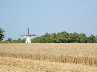 Appartamento per vacanze Ellemeet Ambiente 16