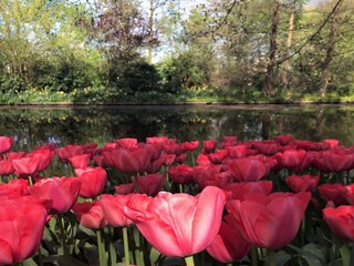 Appartement Scheveningen Omgeving 31