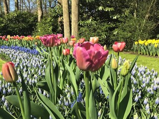 Appartamento Scheveningen Ambiente 13