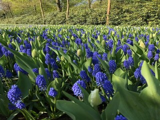Appartement Scheveningen Environnement 21